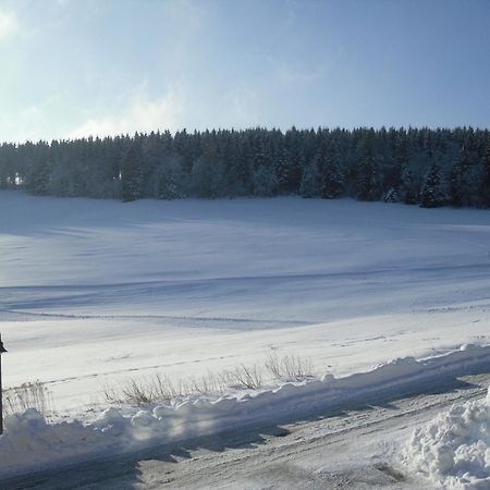 Apartment Sonnenschein Braunlage Kültér fotó