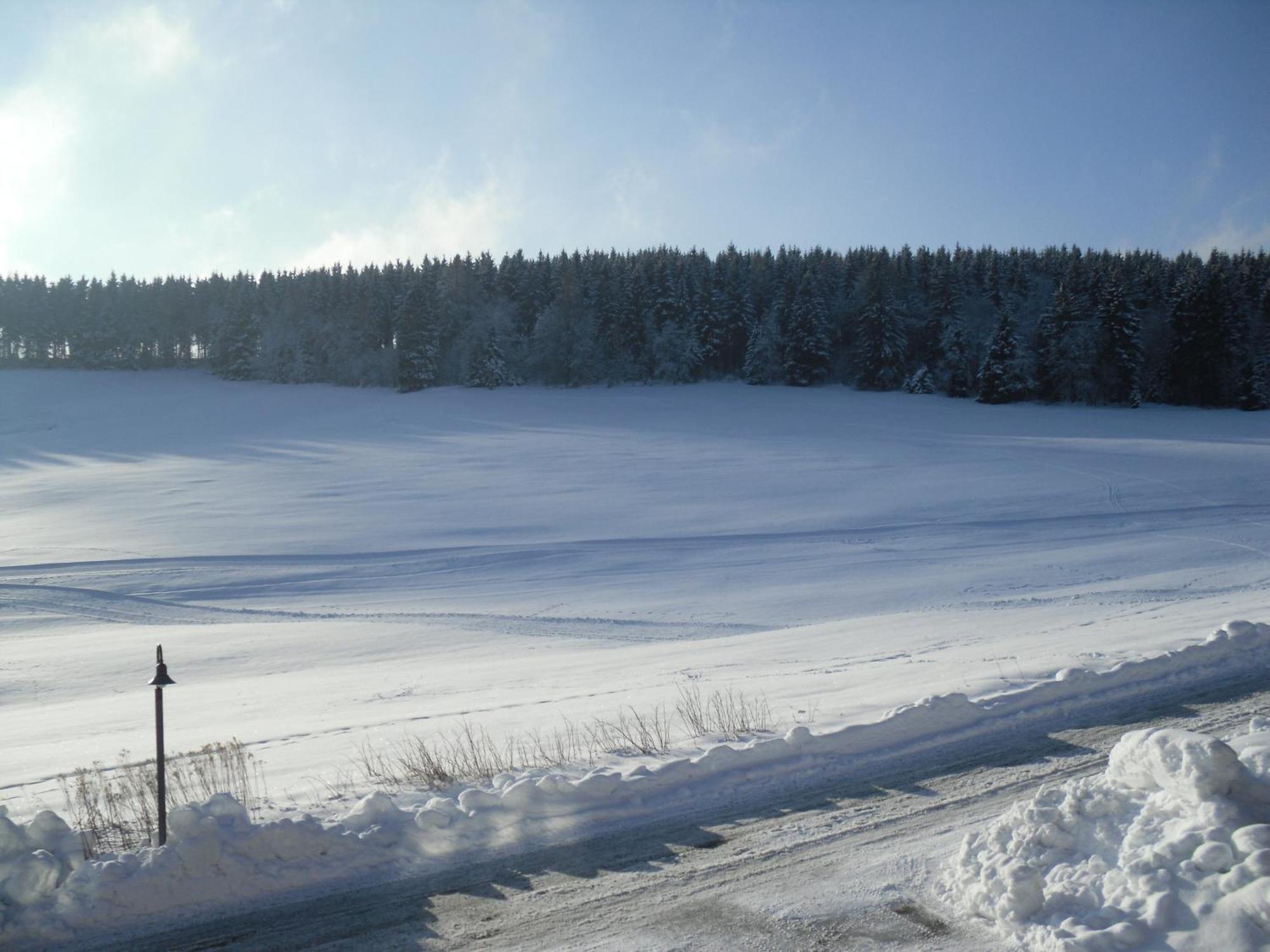 Apartment Sonnenschein Braunlage Kültér fotó
